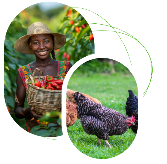 female farmer with red bell peppers