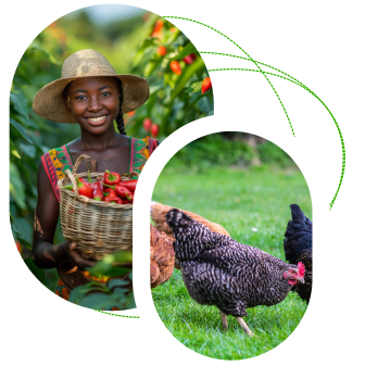 female farmer with red bell peppers