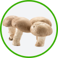 mushrooms category icon