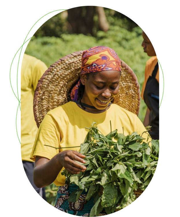 Woman gathering crops