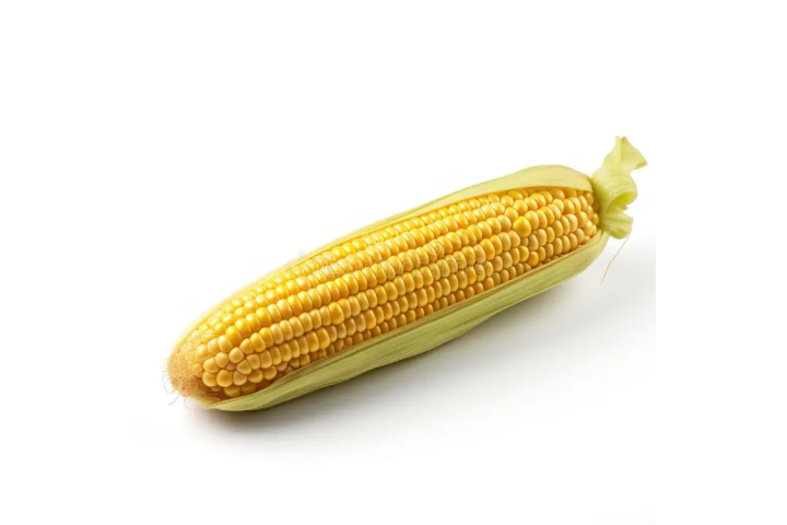 Sweet Corn