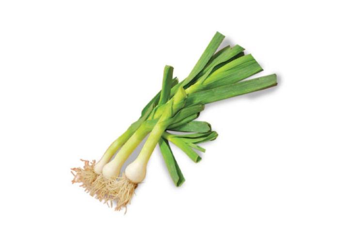 Leek