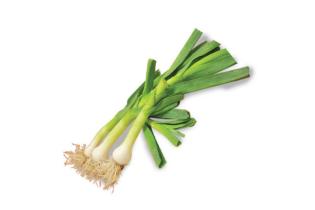 Leek