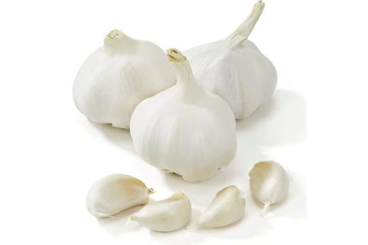 Garlic 