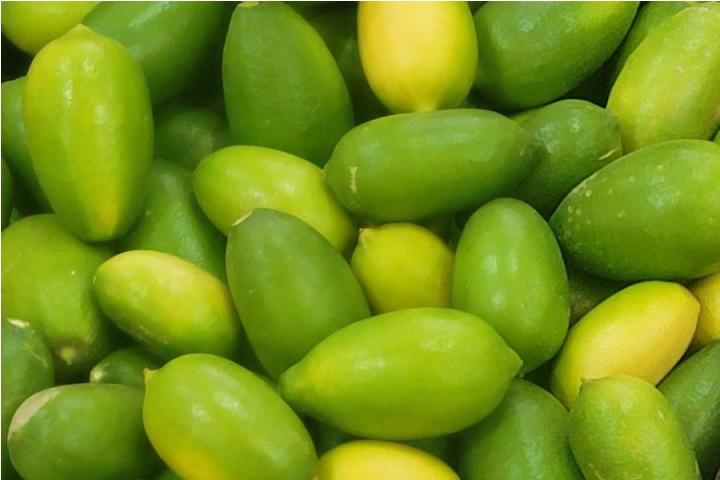 Indian Lemon - Kaji Nemu