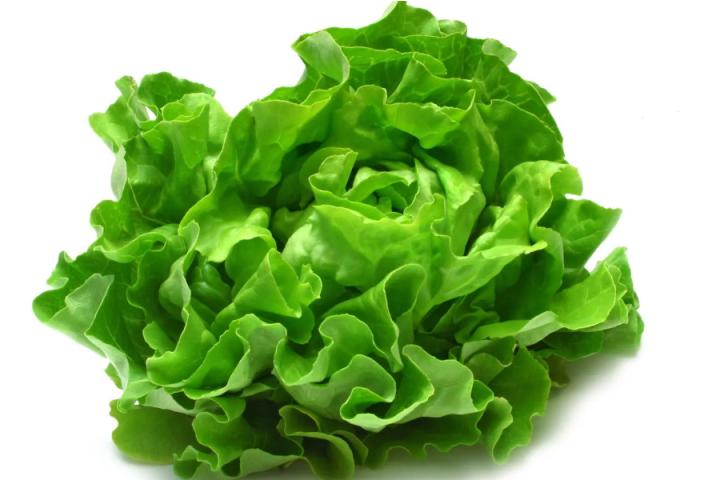 Lettuce